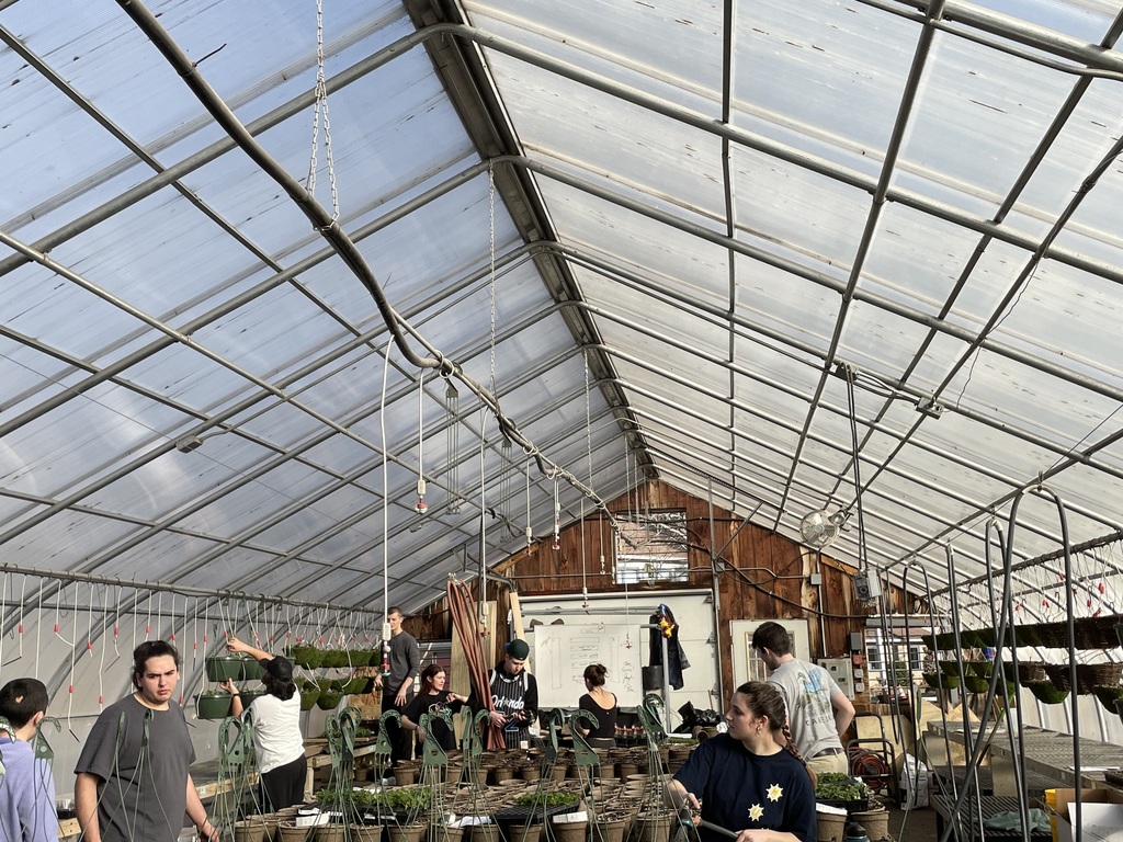 Greenhouse 2